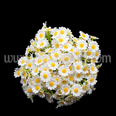 Букет маргаритa Fresh White 2.5см/7стр