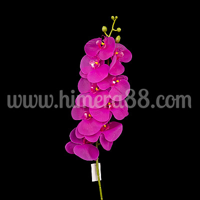 Стрък орхидея Cyclamen