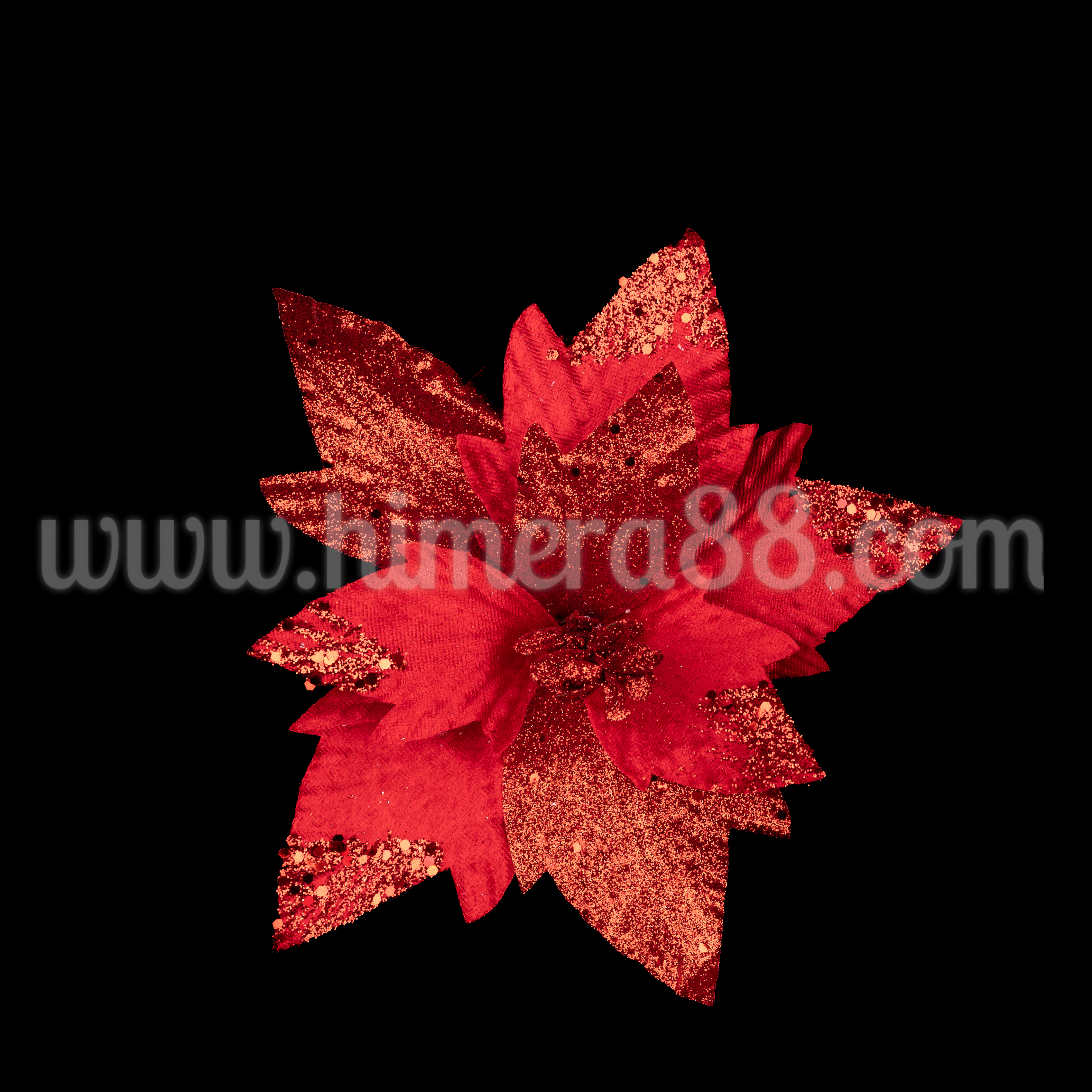 Стрък Коледна звезда Red Brocade 20cm - изглед 2