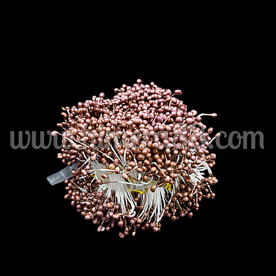 Тичинки на конец 100гр DARK ASH ROSE