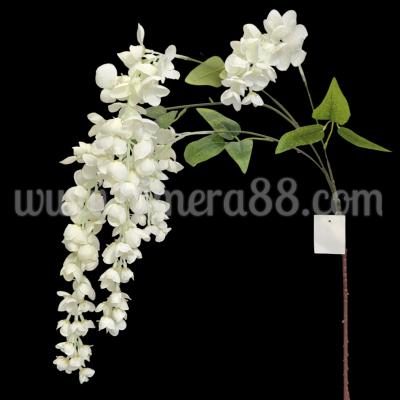 Клон Глициния 3стр White