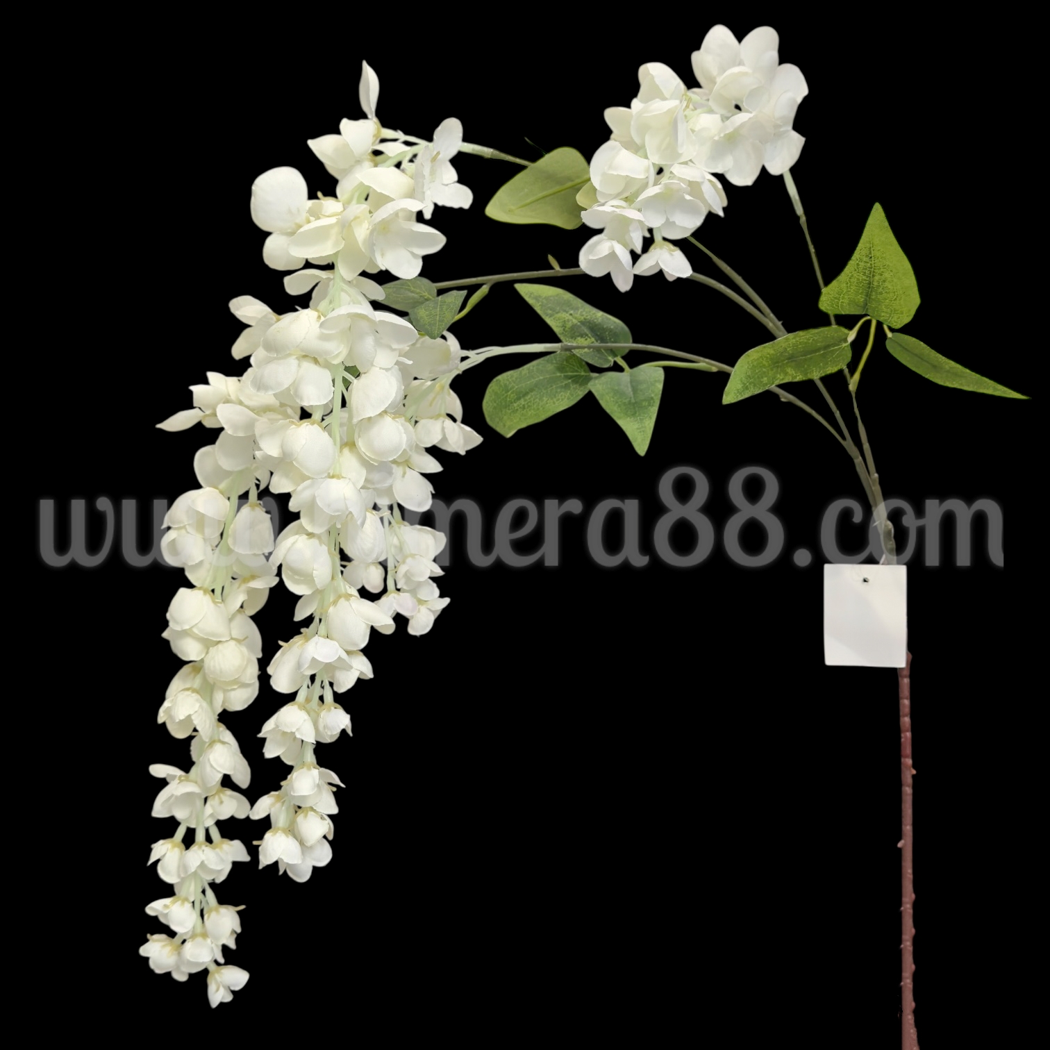 Клон Глициния 3стр White - изглед 1
