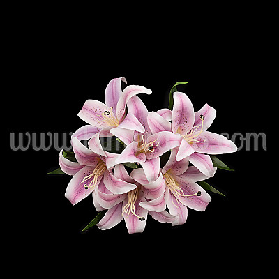 Букет изкуствен лилиум 15cm/6бр Purple