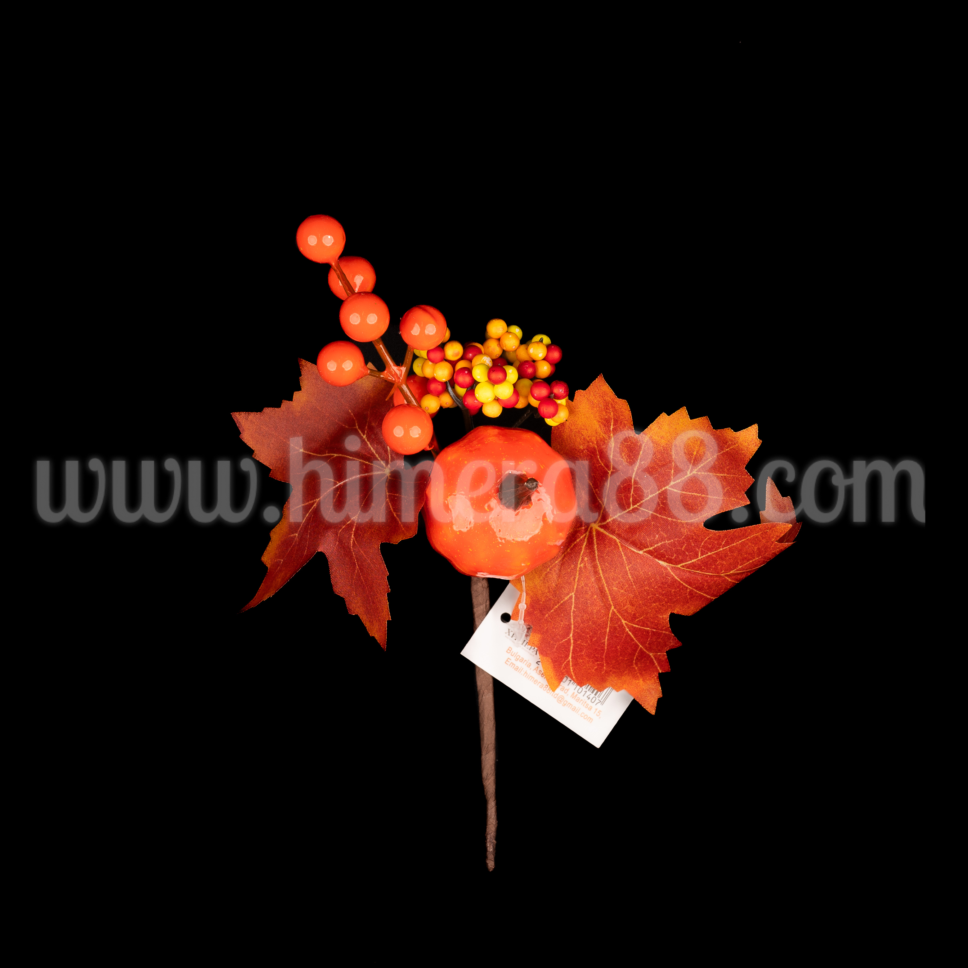Есенна клонка Red Autumn 20cm - изглед 1