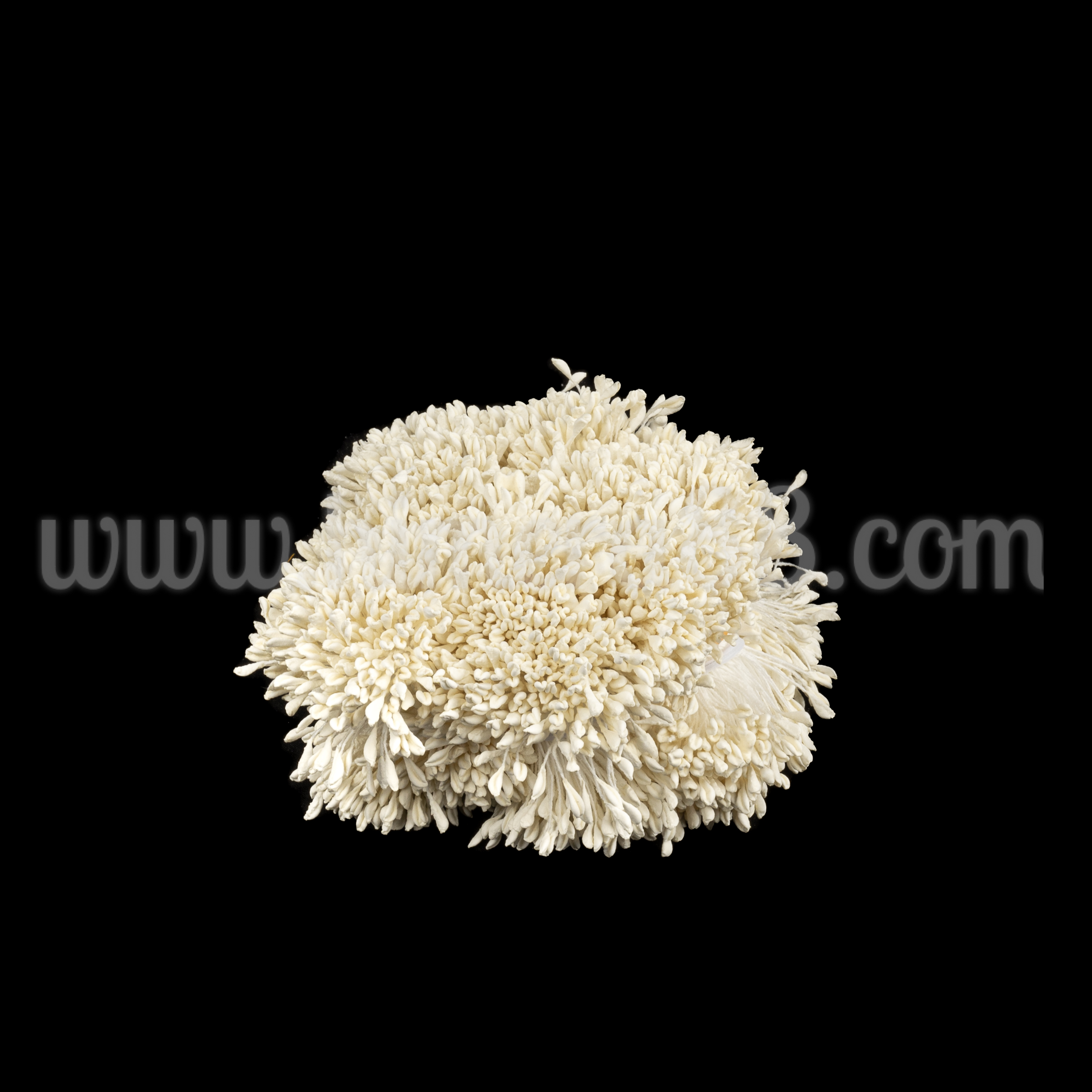 Тичинки на конец Pastel Ecru - изглед 1