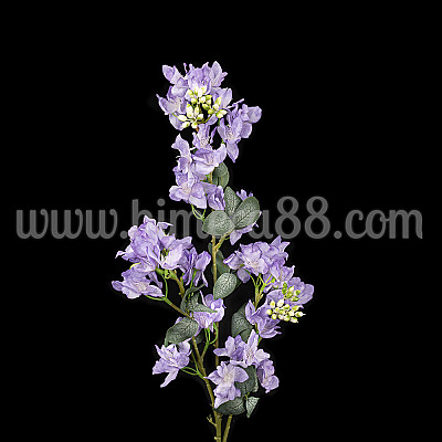 Клон цвят Рододендрон 90cm Purple
