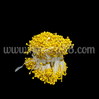 Тичинки на конец 100гр YELLOW
