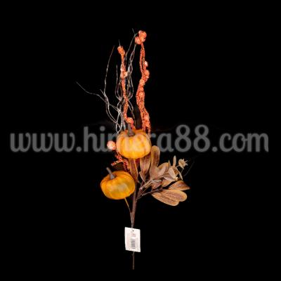 Есенен клон Eucalyptуc Populus 44cm