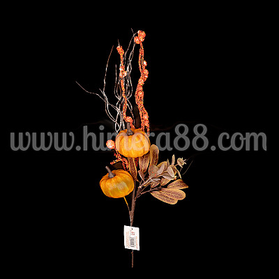 Есенен клон Eucalyptуc Populus 44cm