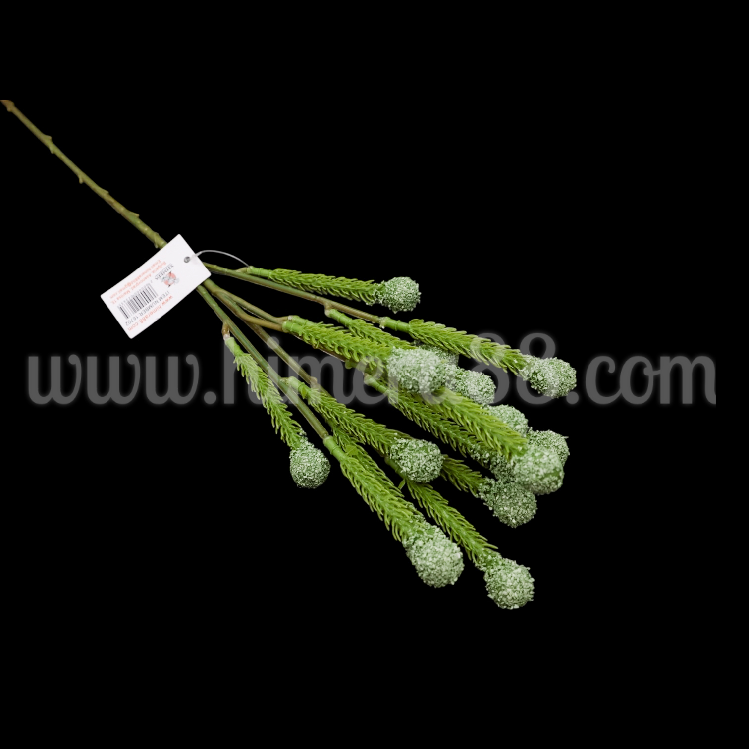 Клон едра бруния Green - изглед 2