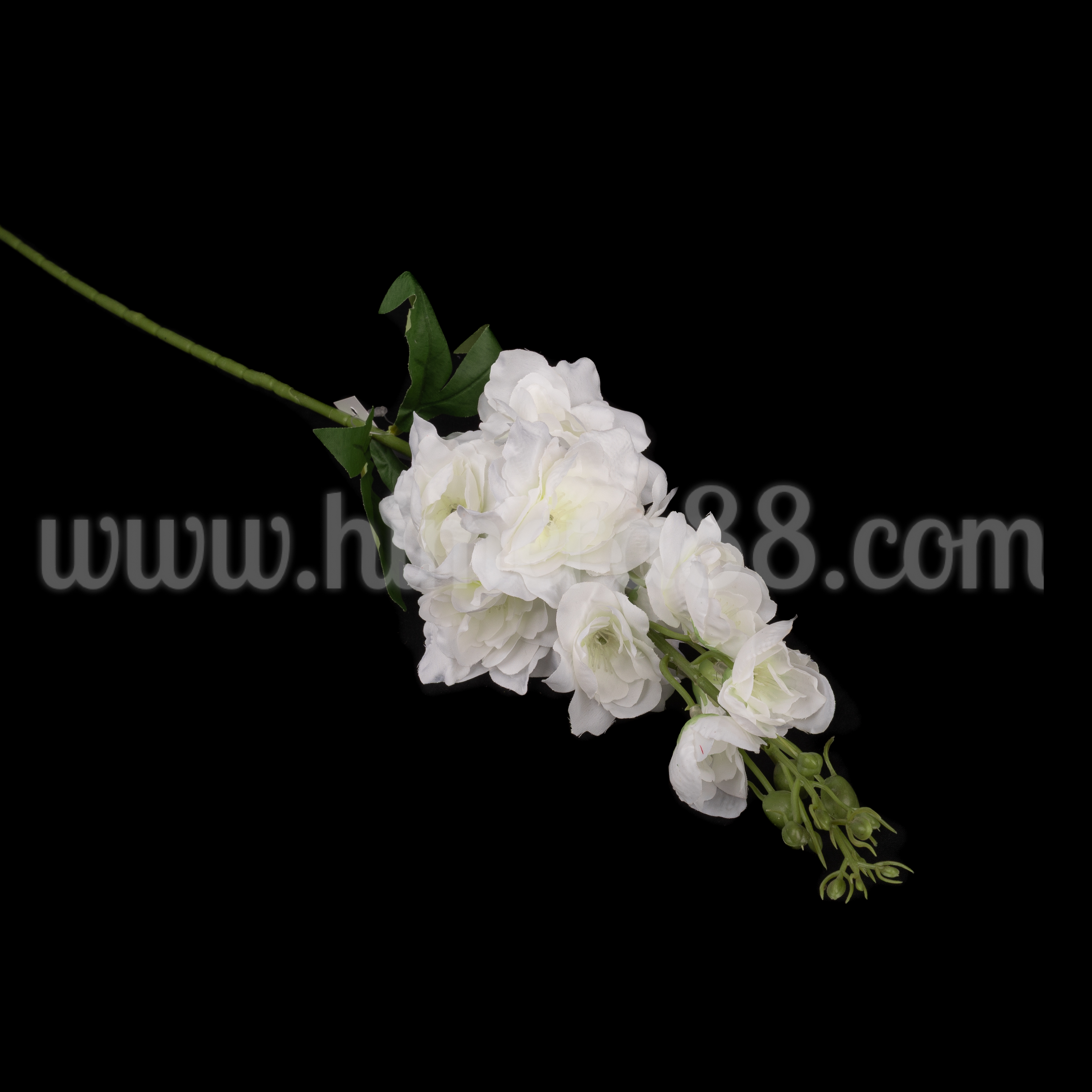 Стрък Делфиниум White 72cm - изглед 1