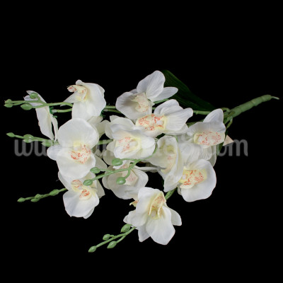 Букет орхидея WHITE