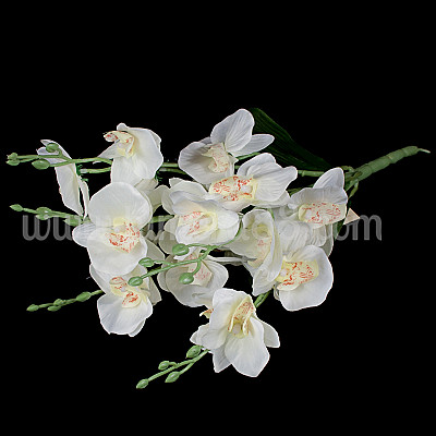 Букет орхидея WHITE