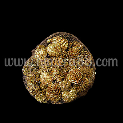 Малки шишарки NATURAL GOLD BROCADE