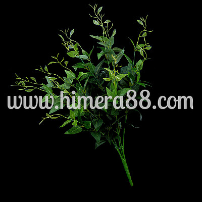 Традесканция 5стр/57см GREEN