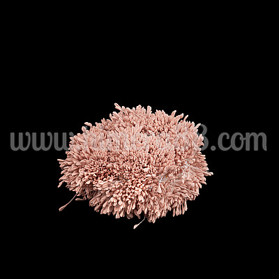 Тичинки на конец Antique Pink Pastel 3300бр