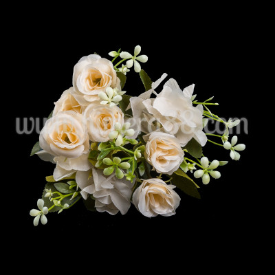 Бенгалска роза 4.5см/6БР CREAM
