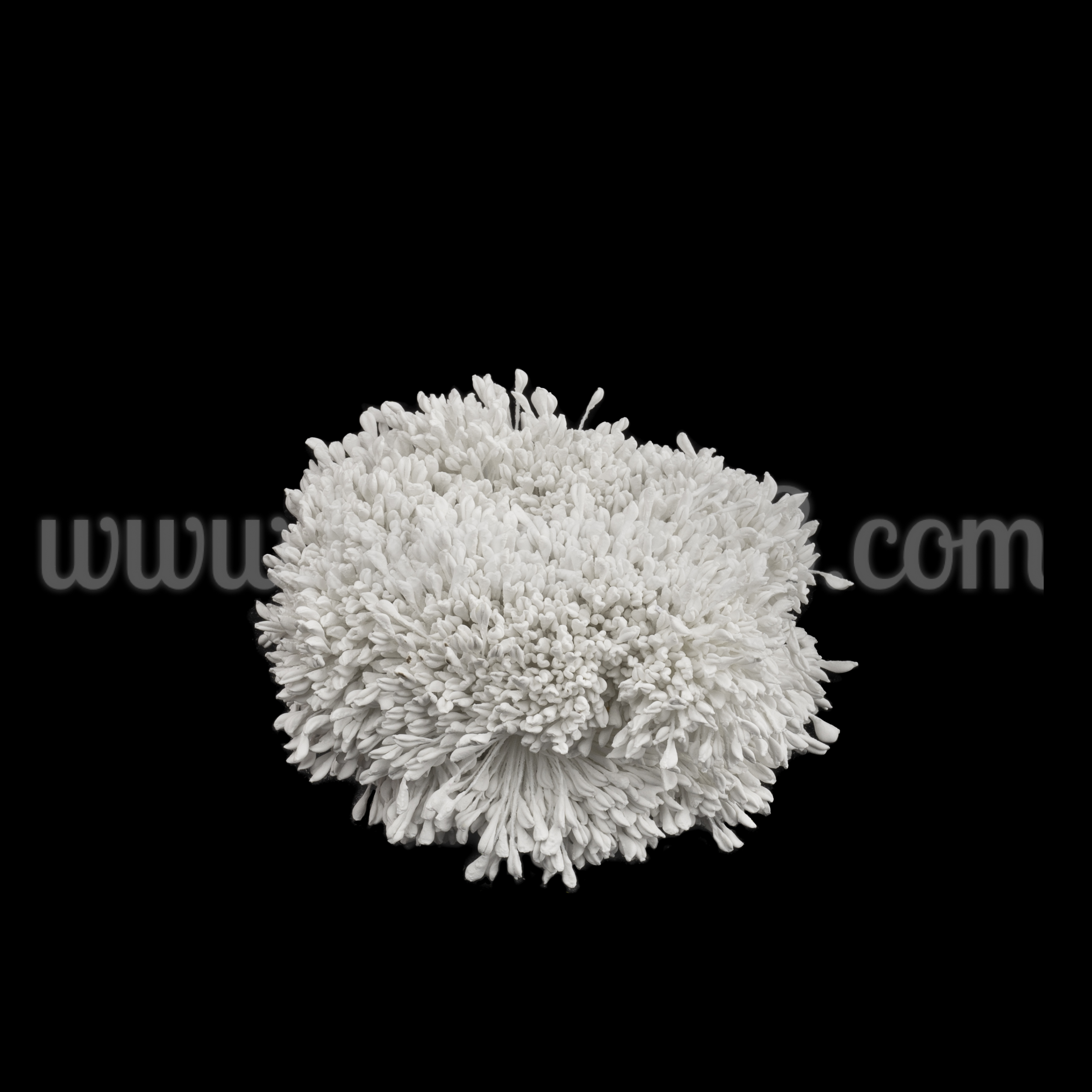 Тичинки на конец White Pastel - изглед 1