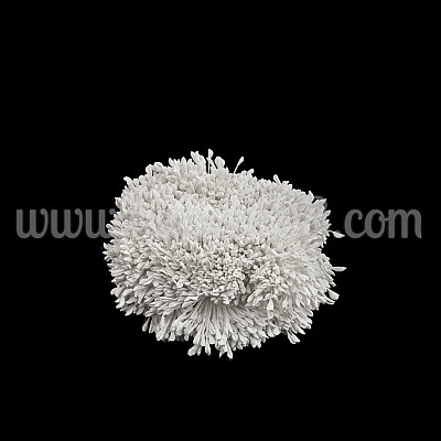 Тичинки на конец White Pastel 3300бр