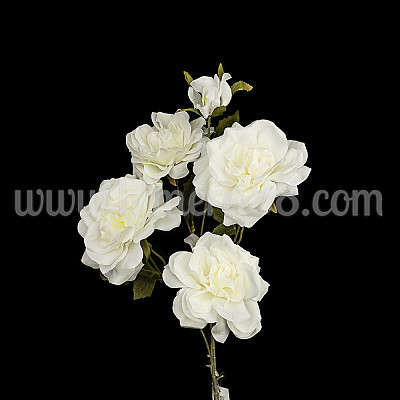 Стрък Японска роза - 4цвята White