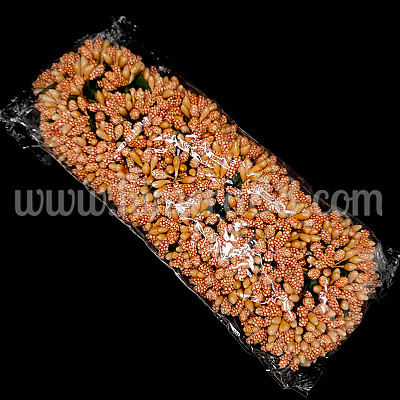 Цветни тичинки 144БР DARK PEACH