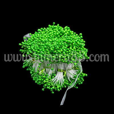 Тичинки на конец 100гр APPEAL GREEN