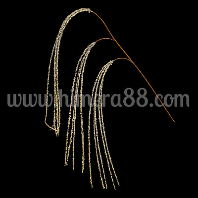 Блестящ амарант GOLD