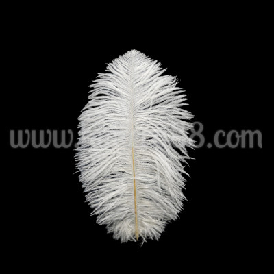 Щраусово перо 30-35cm WHITE