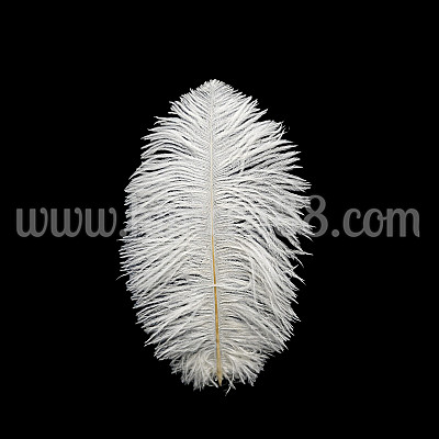 Щраусово перо 30-35cm WHITE