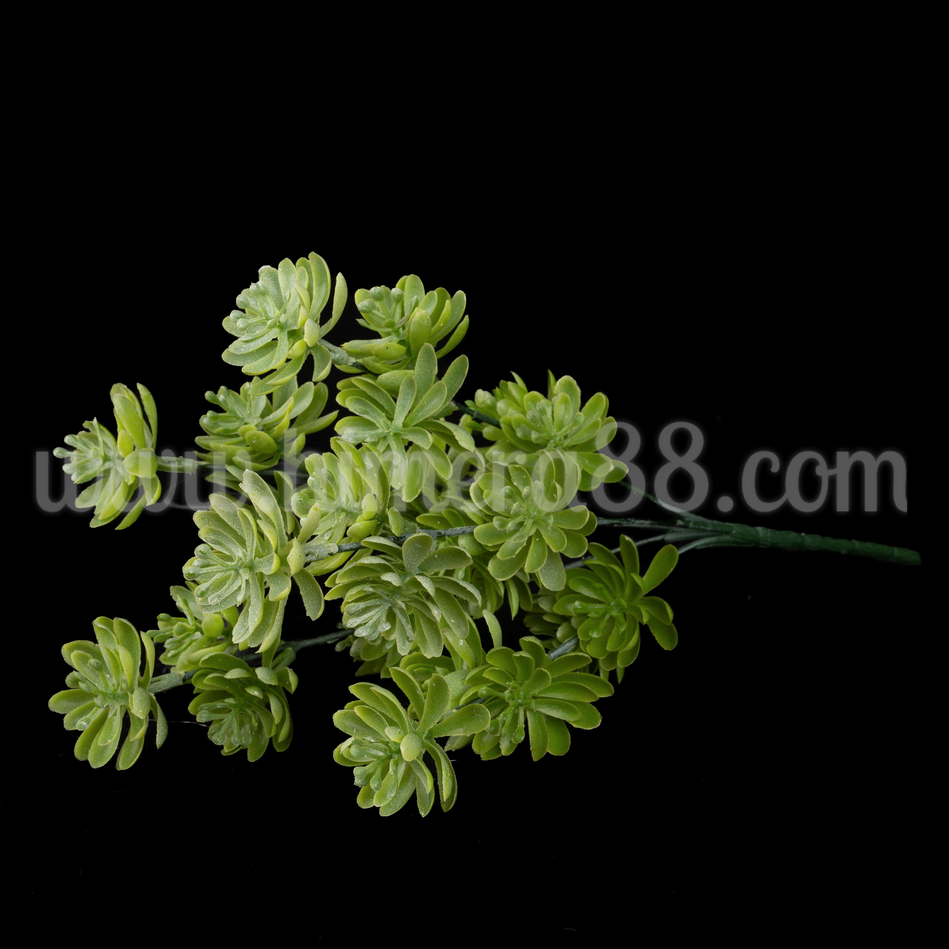 Букет сукулент Light Green - изглед 1
