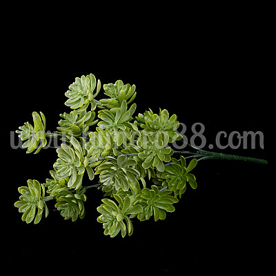 Букет сукулент Light Green