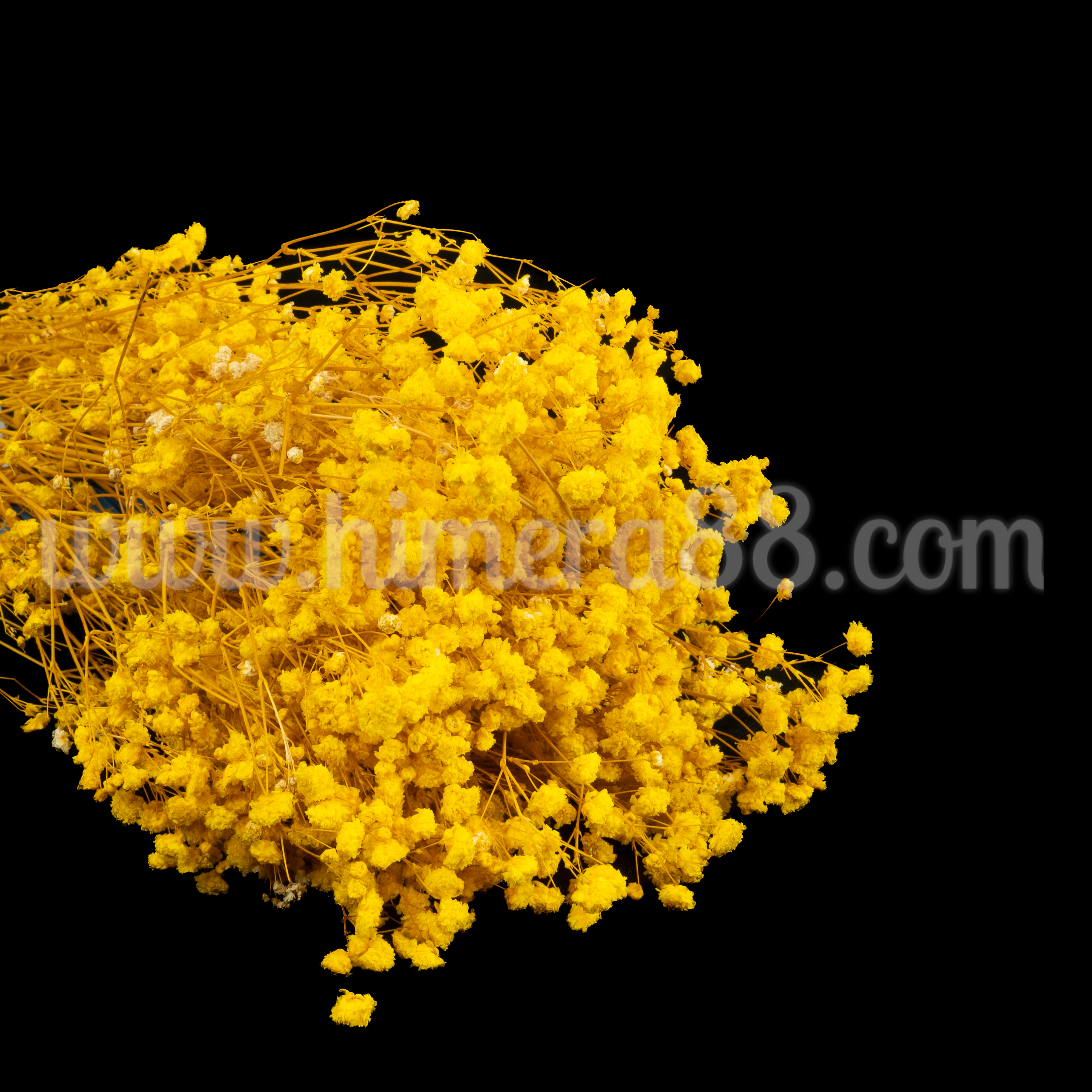 Букет сух гипсофил 120гр Yellow - изглед 2