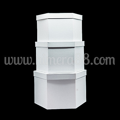 Комплект шестоъгълни кутии WHITE