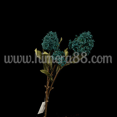 Клон цъфтеж Skimmia Rubell - Turquise