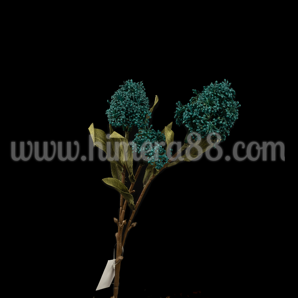 Клон цъфтеж Skimmia Rubell - Turquise - изглед 1