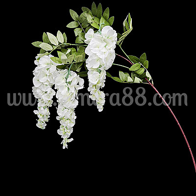 Вистерия/Глициния 3БР WHITE