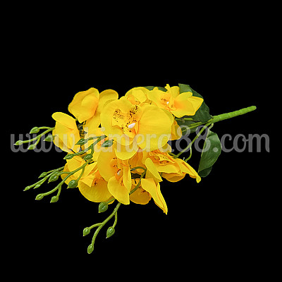 Букет орхидея YELLOW