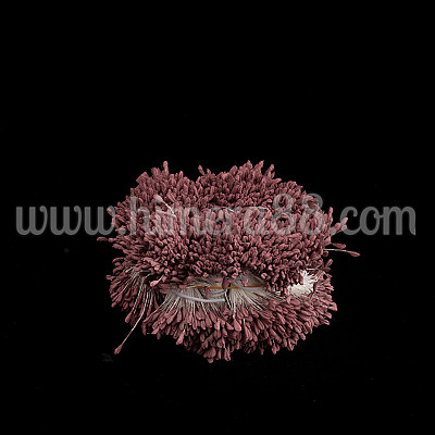 Тичинки на конец Dark Ash Rose Pastel 3300бр