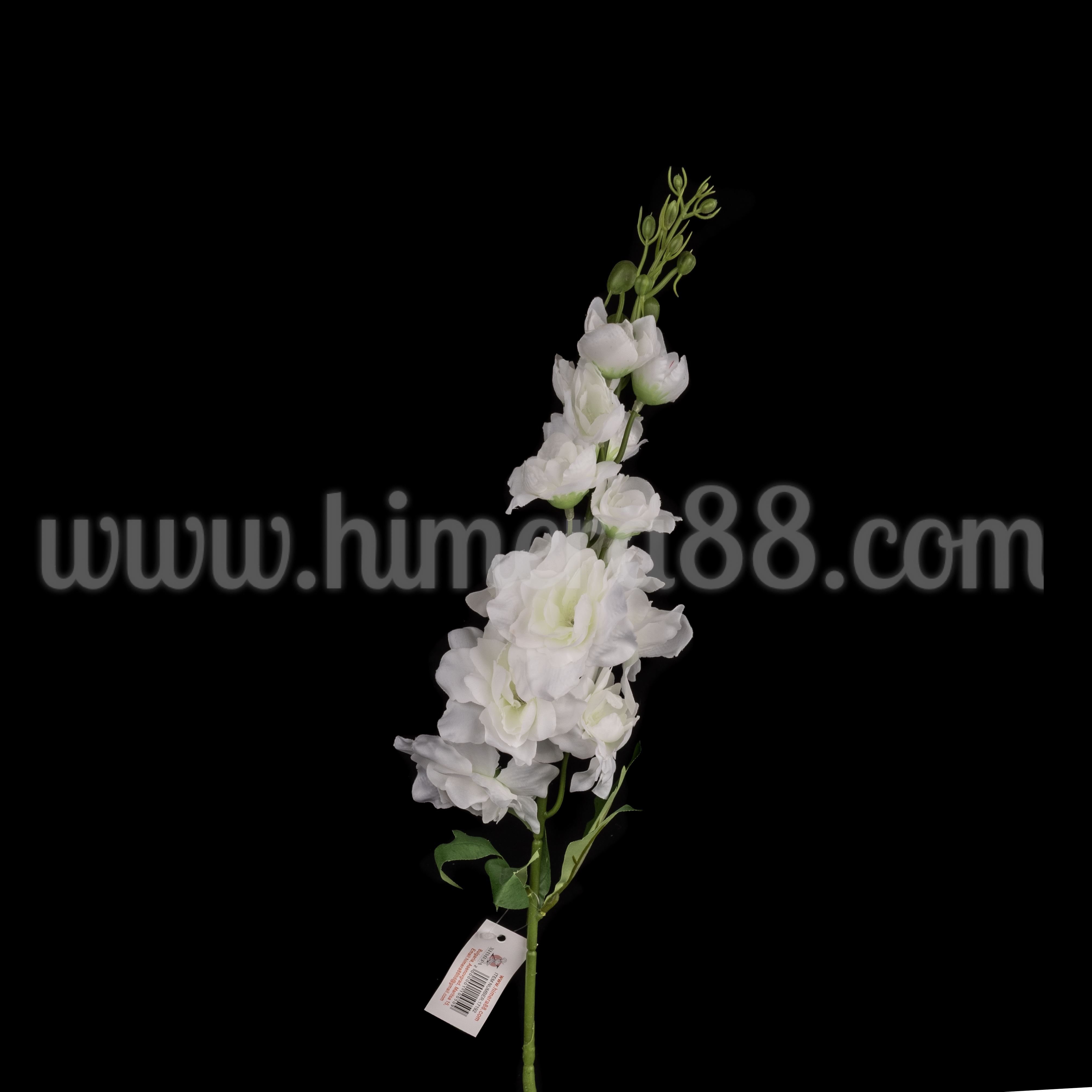 Стрък Делфиниум White 72cm - изглед 2
