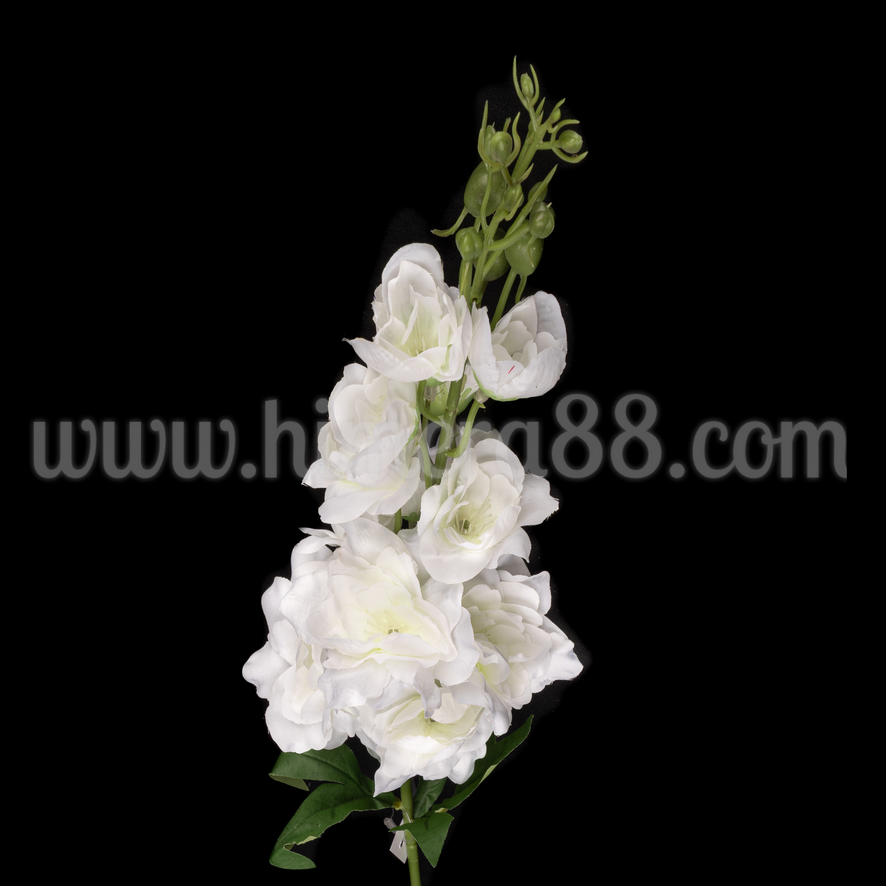 Стрък Делфиниум White 72cm - изглед 3