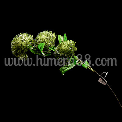 Стрък алиум 3бр GREEN