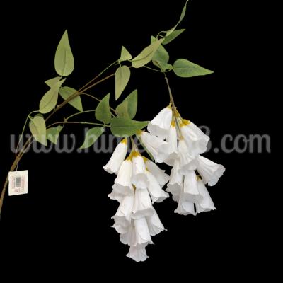 Висящ цвят Лапагерия White