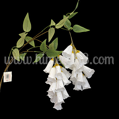 Висящ цвят Лапагерия White