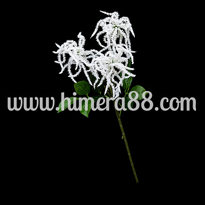 Клонка щир 3стр/53см HI-64 WHITE