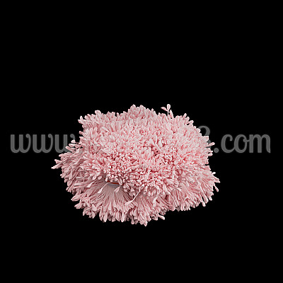 Тичинки на конец Pink Powder Pastel 3300бр
