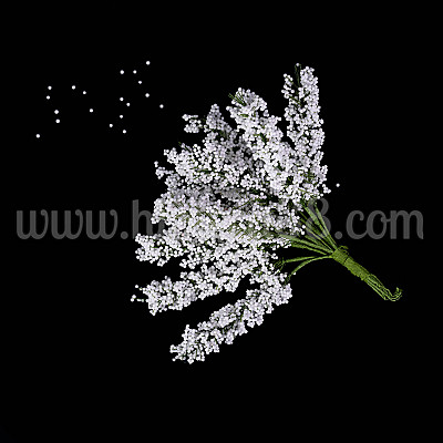 Гипсофил стрък 144бр GREEN