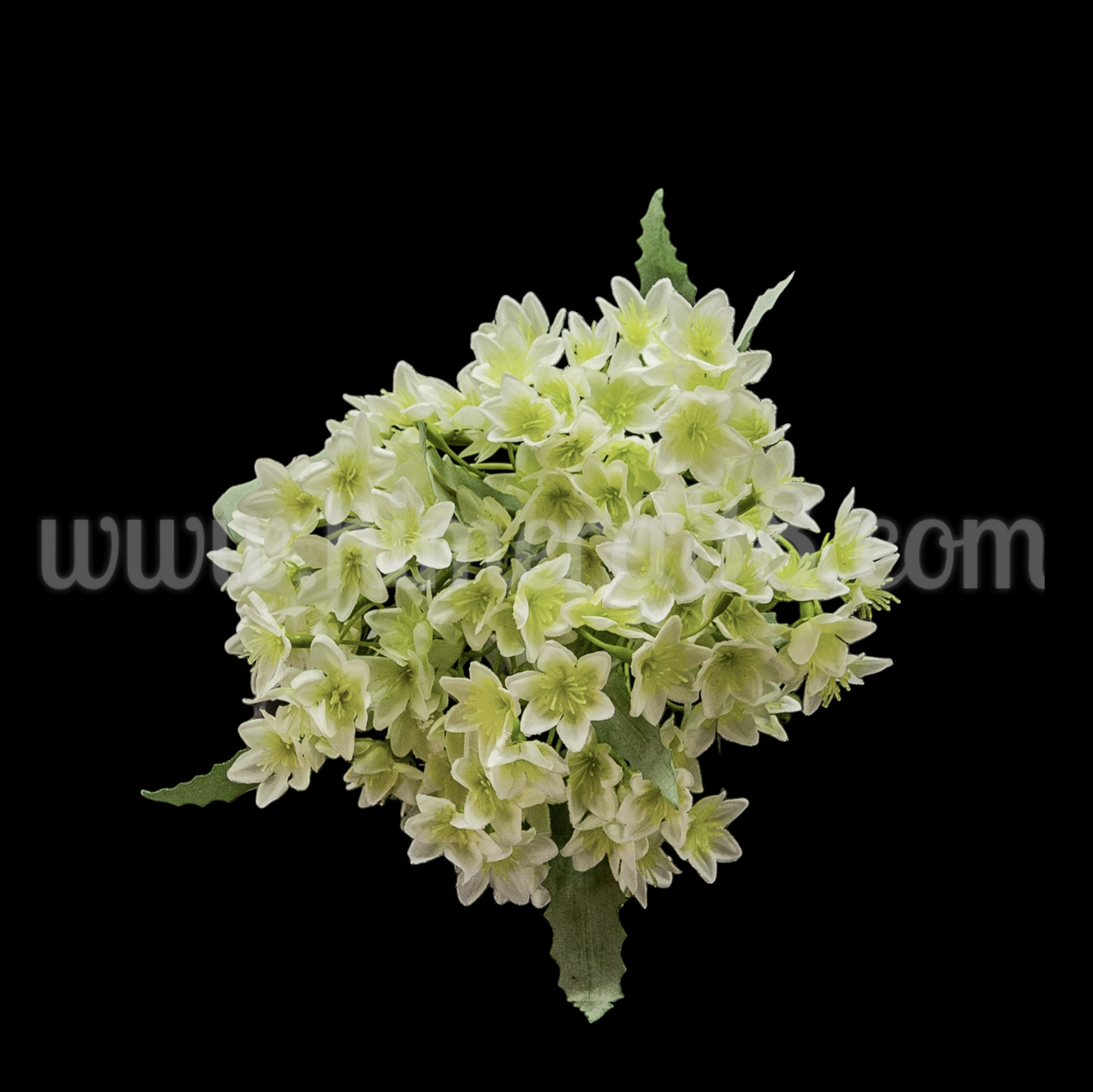 Букет цвете Левурда WHITE