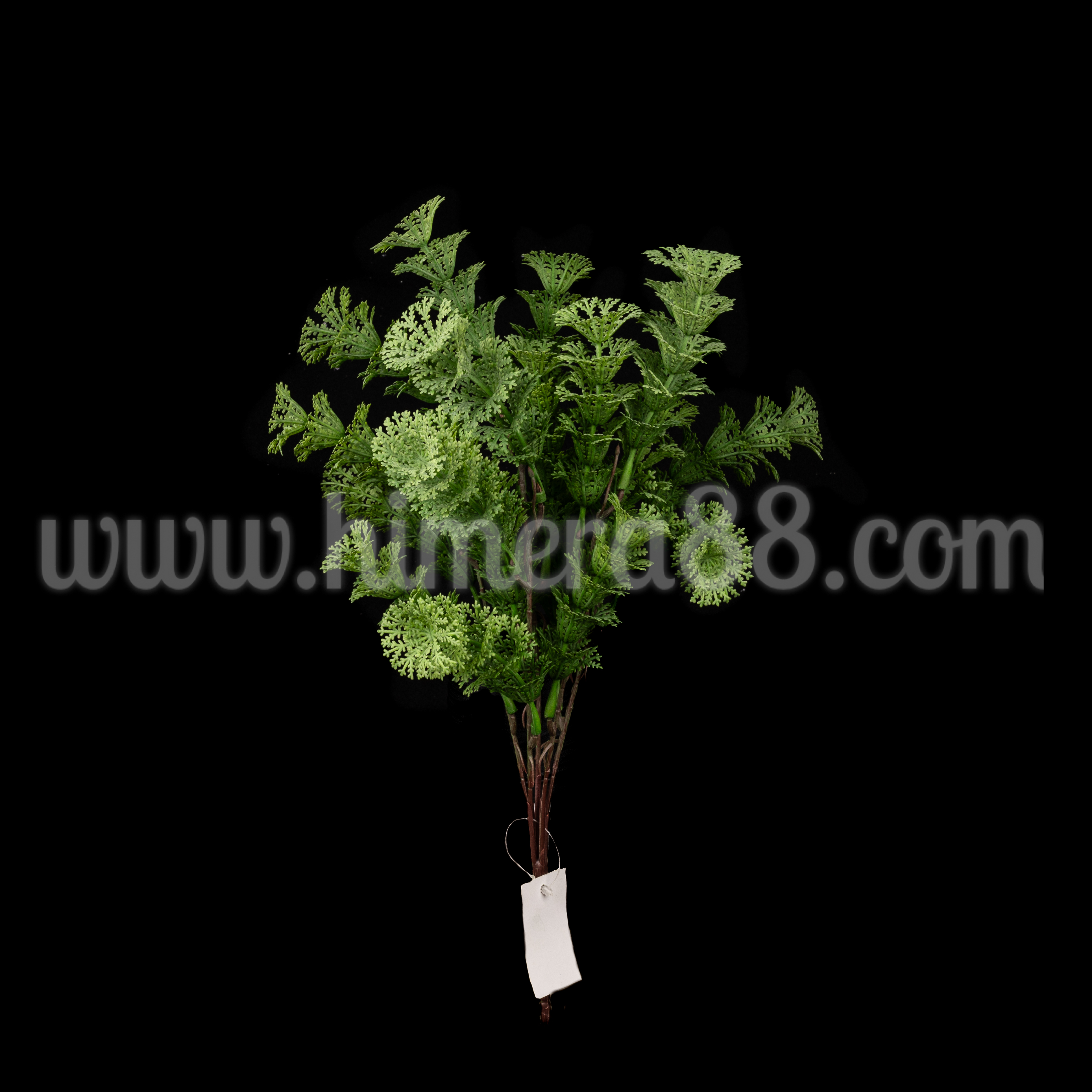 Букет зеленина водорасло Anacharis - изглед 4