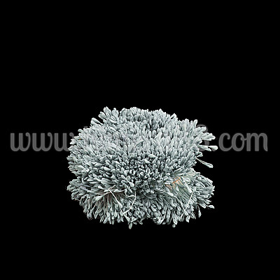 Тичинки на конец Blue Pastel