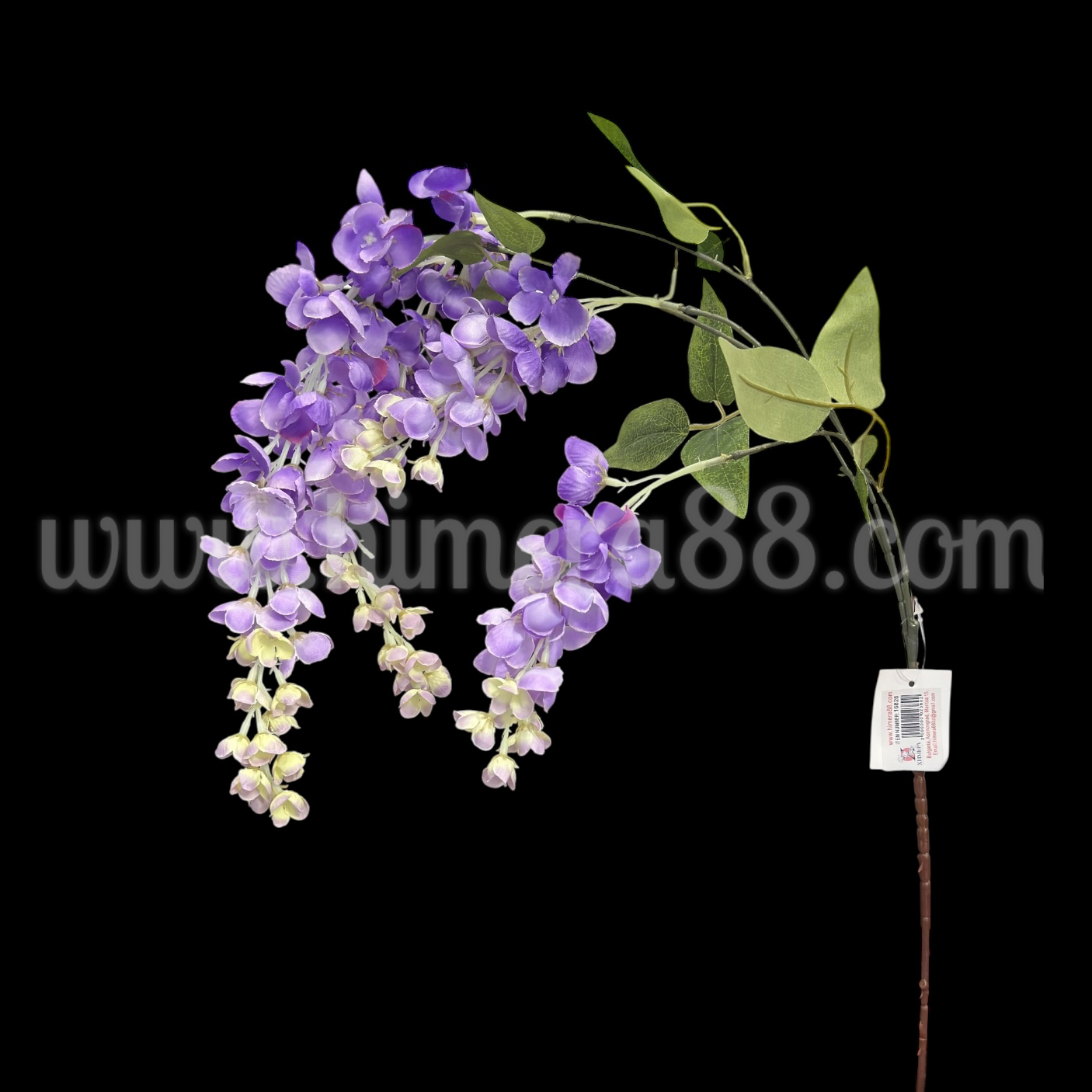 Клон Глициния 3стр Purple - изглед 1